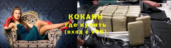 дмт Абаза