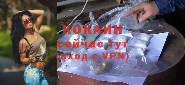 дмт Абаза