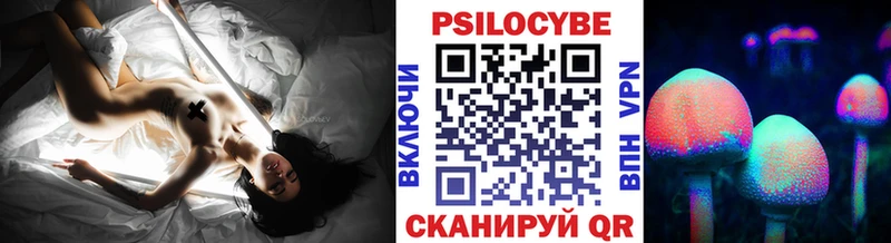 Галлюциногенные грибы Psilocybe  цена наркотик  Азнакаево 