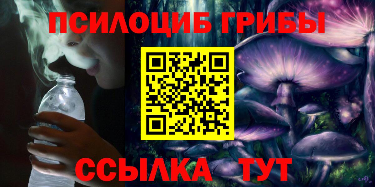 Псилоцибиновые грибы ЛСД Азнакаево