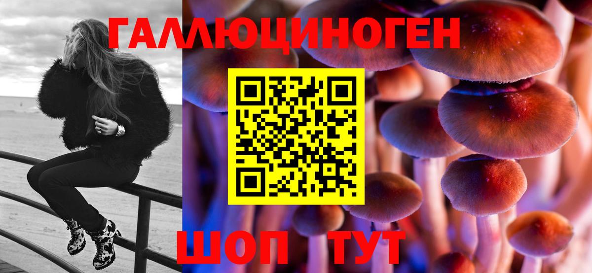 Псилоцибиновые грибы прущие грибы  даркнет сайт  Азнакаево  Вход с VPN  Галлюциногенные грибы мицелий 